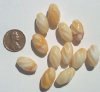 12 18mm Twisted Vanilla Caramel Ovals